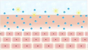 角質層イラスト