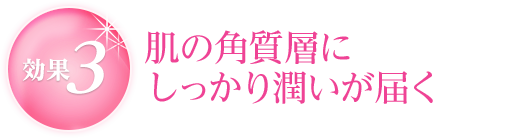 肌の角質層にしっかり潤いが届く